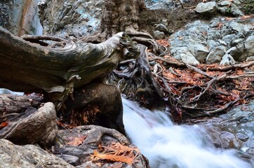 Fototapeta premium Fluss 