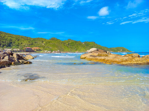 beach in the summer in tropical beach at Atalaia Mariscal Bombinhas Brazil
