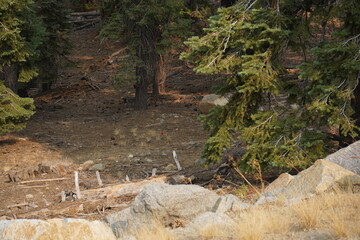 カリフォルニア州　ヨセミテ国立公園　グレイシャーポイント　トレッキング