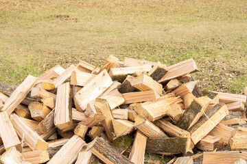 A Pile of Firewood Chopped and Ready to be Stacked and Sold