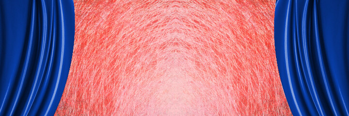 青のカーテンのステージ