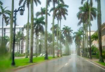 Fototapeta premium Palm Beach boulevard on a rainy day, Florida.