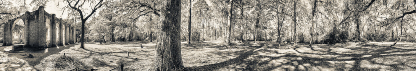 Old Sheldon Church panoramic view, South Carolina