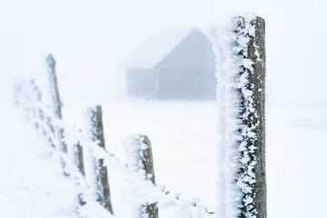 Frost on fence and hut in snow in a foggy winter day