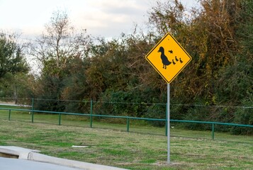 Duck zone warning sign shape of rhombus in back and yellow with duck family icon, transportation in the katy park , Texas ,USA - obrazy, fototapety, plakaty
