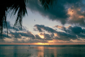 French Polynesia islands in the South Pacific Ocean Mo'orea, Tahiti, and Fakarava