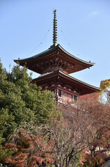 三明院　多宝塔　京都市左京区