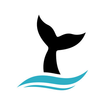 whale tail logo
