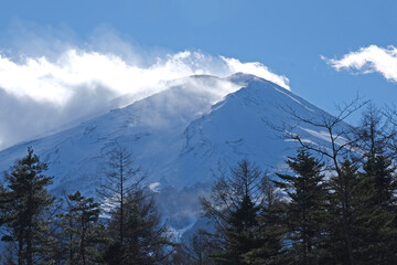 Fototapeta na wymiar 世界遺産　北麓から望む雪煙が舞う冬の富士山　