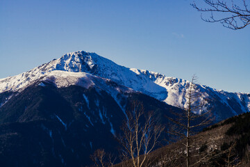 南アルプス　北岳　杖立峠付近からのぞむ