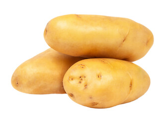 Raw and fresh potato tubers isolated