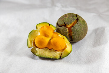 Ripe pequi fruit (Caryocar brasiliense) showing the inside of the fruit on a light background