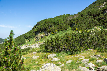 Fototapeta na wymiar Landscape of Rila Mountain near The Camel peak, Bulgaria
