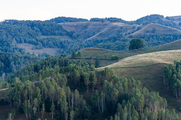 Fototapeta na wymiar Green Hills Landscape