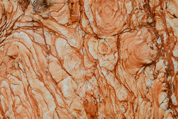 wood texture background