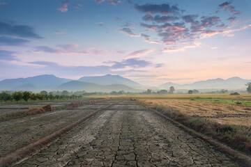 Fototapeta na wymiar land scape of beautiful morning at thailand country side with rice field