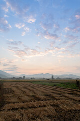 land scape of beautiful morning at thailand country side with rice field