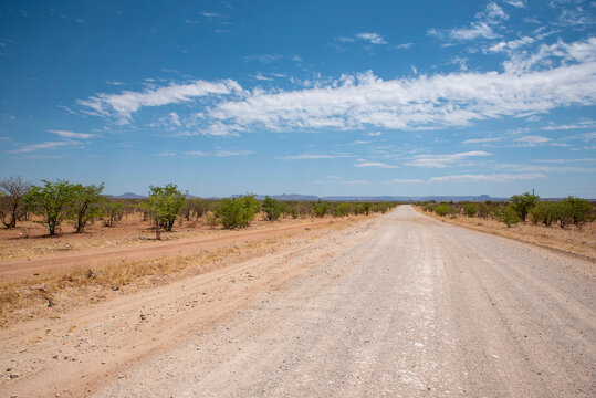 View of a desertic Namibian road landscape