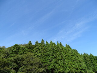 初秋の里山風景