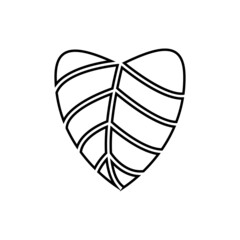 Leaf icon vector
