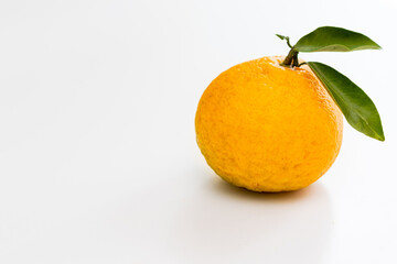 緑色の葉がついた柑橘類の黄色い果実