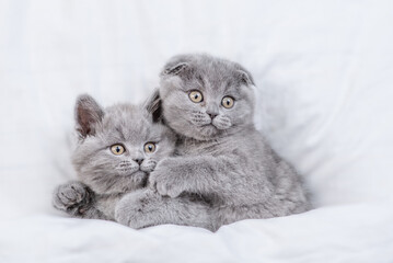 Two playful kittens lying together  on a bed under warm white blanket.  Top down view