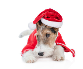 Sad Wire-haired Fox terrier puppy wearing red christmas hat lies and looks away on empty space. isolated on white background