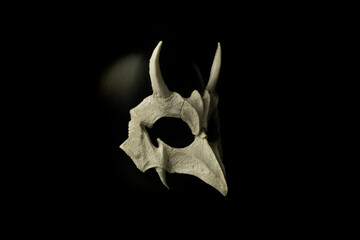Scary bone monster mask made of silicon photographed on black background