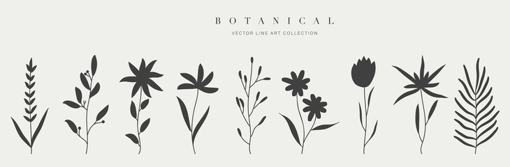 Botanical arts. Hand drawn continuous line drawing of abstract flower and floral. Vector illustration.
 - obrazy, fototapety, plakaty