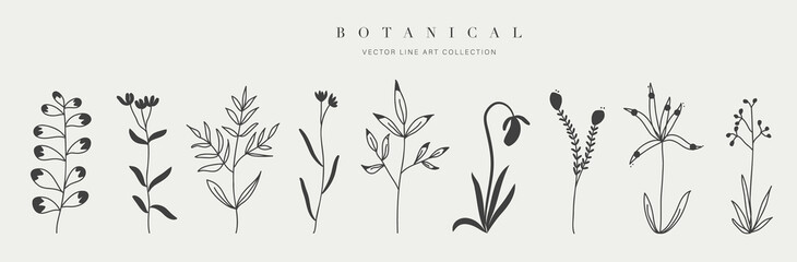 Botanical arts. Hand drawn continuous line drawing of abstract flower and floral. Vector illustration.
