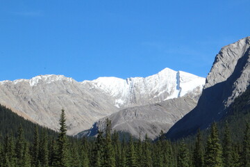national park, Jasper National Park, Alberta