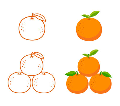 mandarin orange tangerine fruit set vector isolated