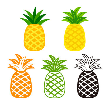 pineapple, tropical fruit set vector isolated