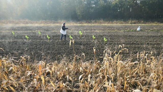 Organic farmer scatters seeds on field. Digital symbols of plants appear. Ecological landscaping