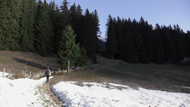 Adieu voyage from Swiss alps to pine forest alone