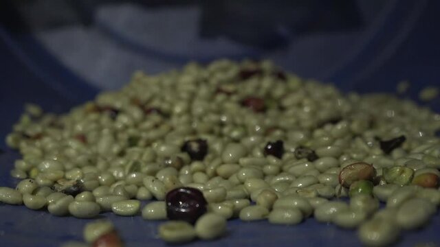 Coffee beans falling out of the rasping machine.
