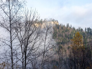 Autumn period in a natural park, serpentine highway with a view of a mountain range of mountains in a blue haze, trees with fallen leaves, panoramic views of the area.