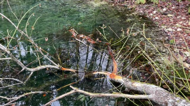 Donaubergland im Winter