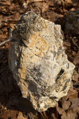 Mica schist from an old cobalt mine in Connecticut.