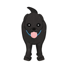 Cute American Hound Black Dog Ver