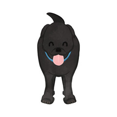 Fototapeta premium Cute American smiling hunting dog Black dog Ver