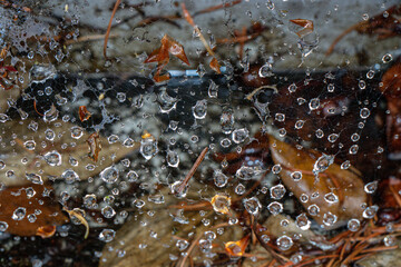 Close up of droplets on spiderwebs. 