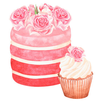 Pink wedding cake with roses and cupcake. Watercolor illustration. Isolated on a white background