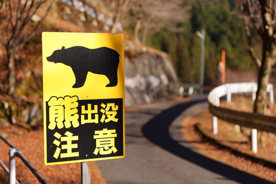 熊出没 の画像 174 件の Stock 写真 ベクターおよびビデオ Adobe Stock