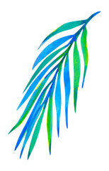 Tropical palm leaf, watercolor illustration isolated on white 