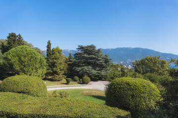 A well-groomed park with subtropical plants next to the Livadia Palace (Crimean Peninsula) on a sunny summer day. Blue sky, mountains and haze in the distance over the sea and city in the valley 