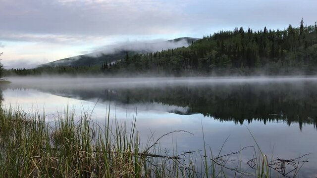Alaska / Kanada 