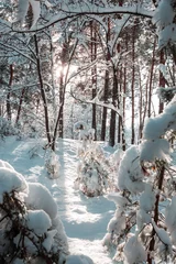 Gartenposter Winter forest © Galyna Andrushko
