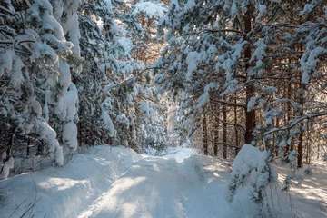 Gordijnen Winter forest © Galyna Andrushko