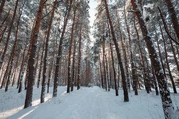 Wandcirkels aluminium Winter forest © Galyna Andrushko